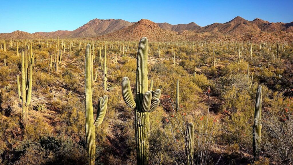 az national parks