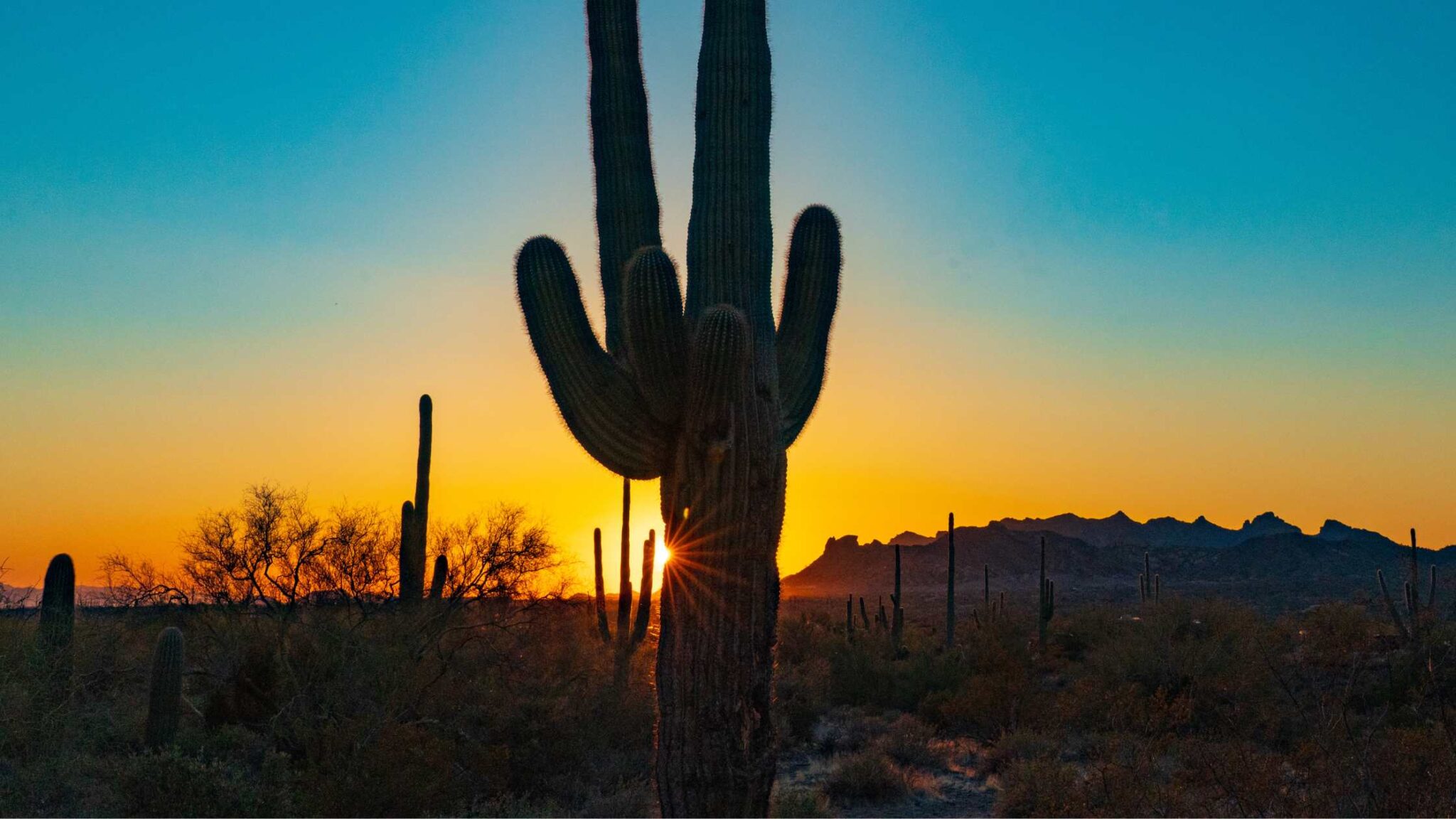 Sunrise In Scottsdale - 10 Spots to Admire The Fantastic Views