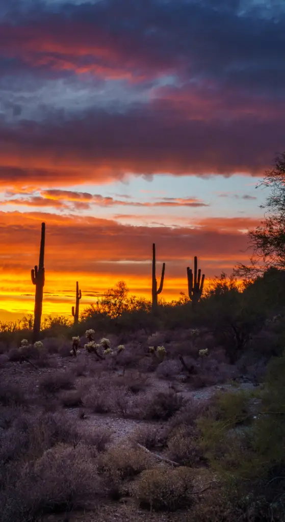 Sunset In Phoenix - 14 Best Spots To Watch The Stunning Views