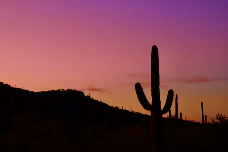 14 Tucson Sunset Spots To Admire The Stunning Views