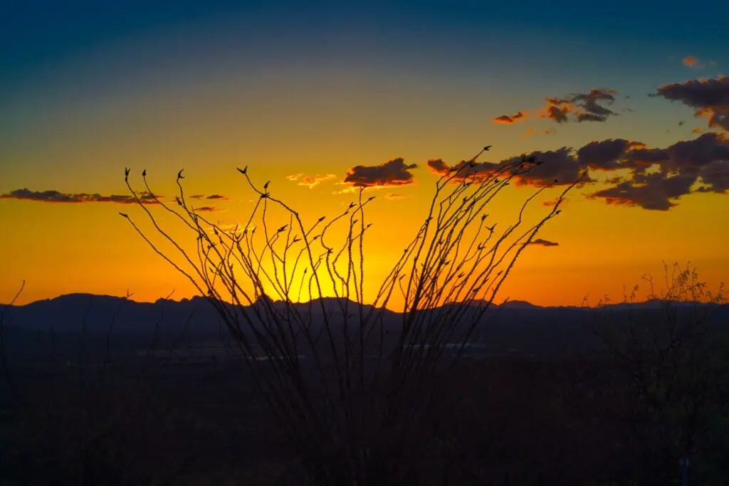 best sunrise in Tucson