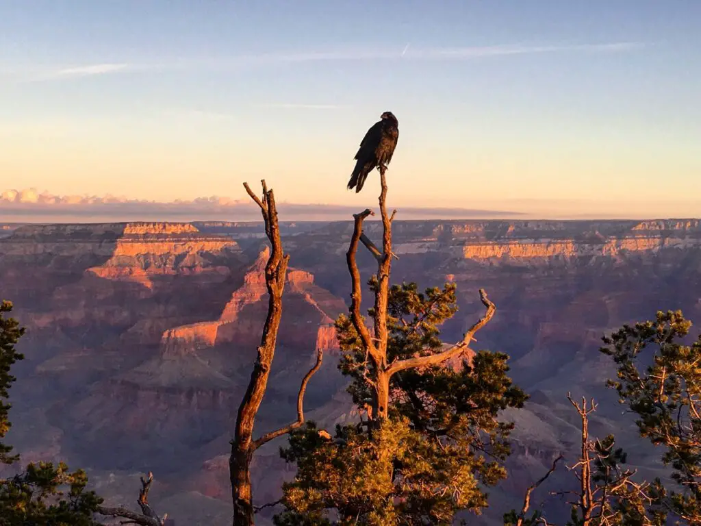best places to watch sunrise in Grand Canyon