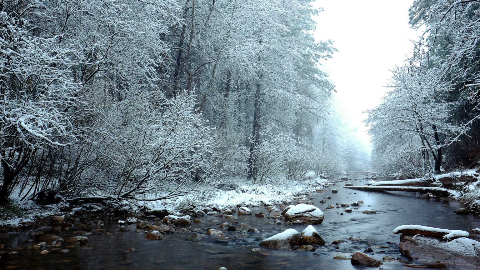 15 Best Payson Hiking Trails For Waterfalls, Camping And More