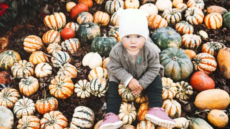 5 FUN PHOENIX PUMPKIN PATCHES TO VISIT THIS FALL