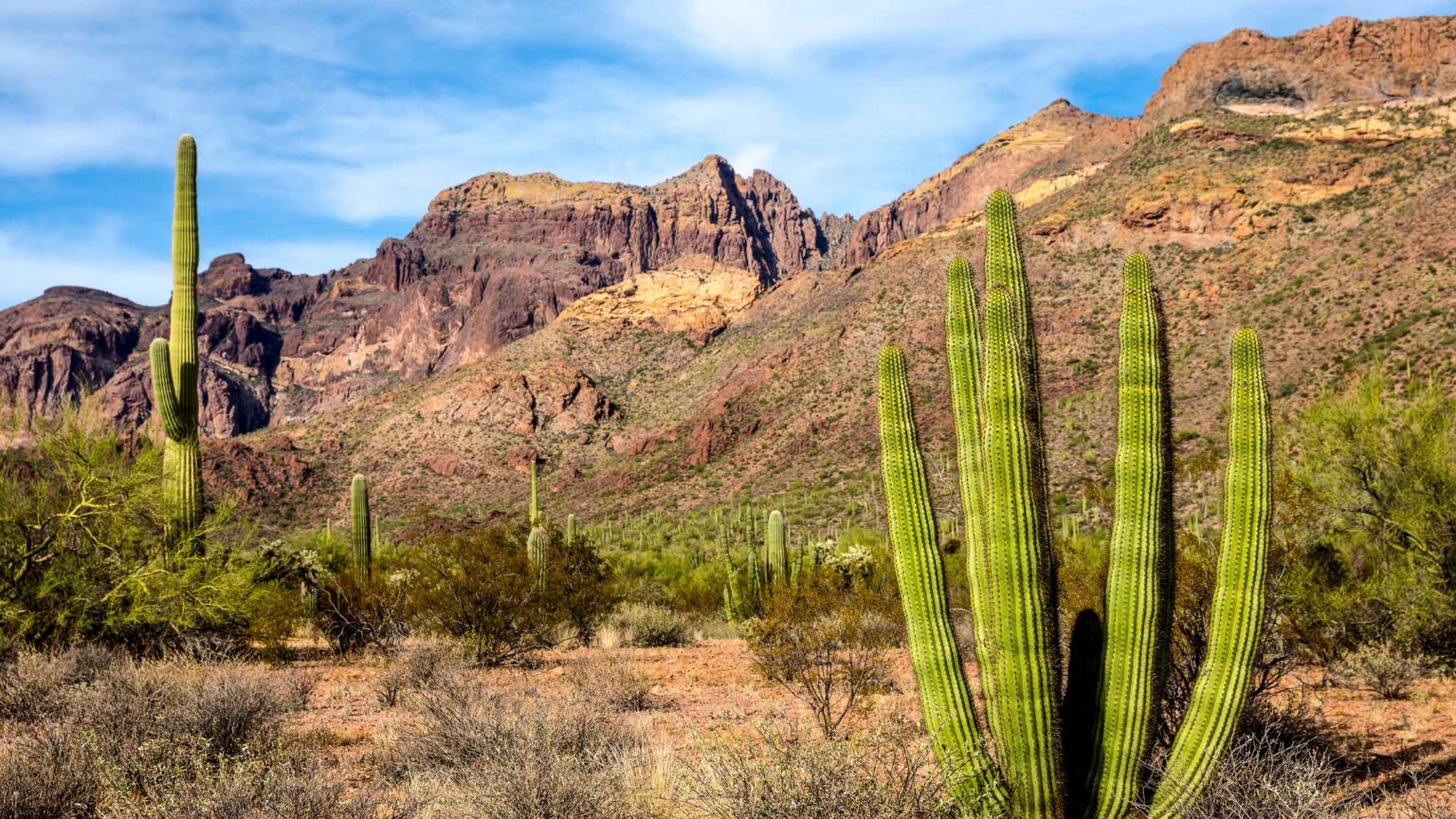 20 BEST GHOST TOWNS IN ARIZONA YOU SHOULD VISIT