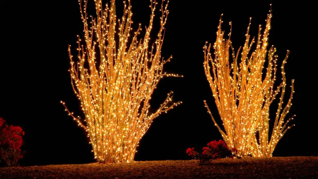 Christmas lights in Arizona