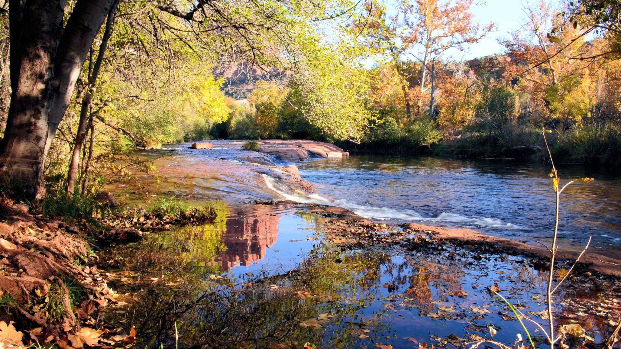 FALL COLORS IN ARIZONA - 25 BEST SPOTS TO GO!