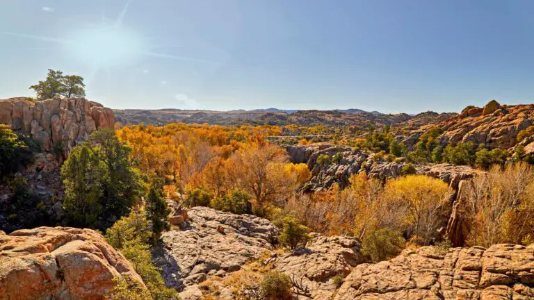 FALL COLORS IN ARIZONA – 25 BEST SPOTS TO GO!