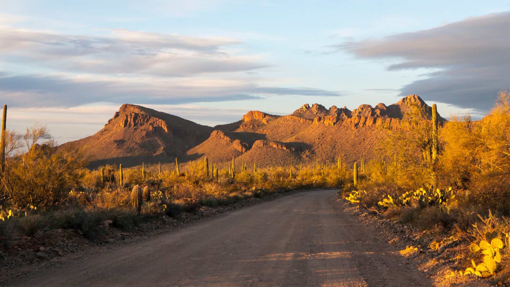 FALL COLORS IN ARIZONA - 25 BEST SPOTS TO GO!