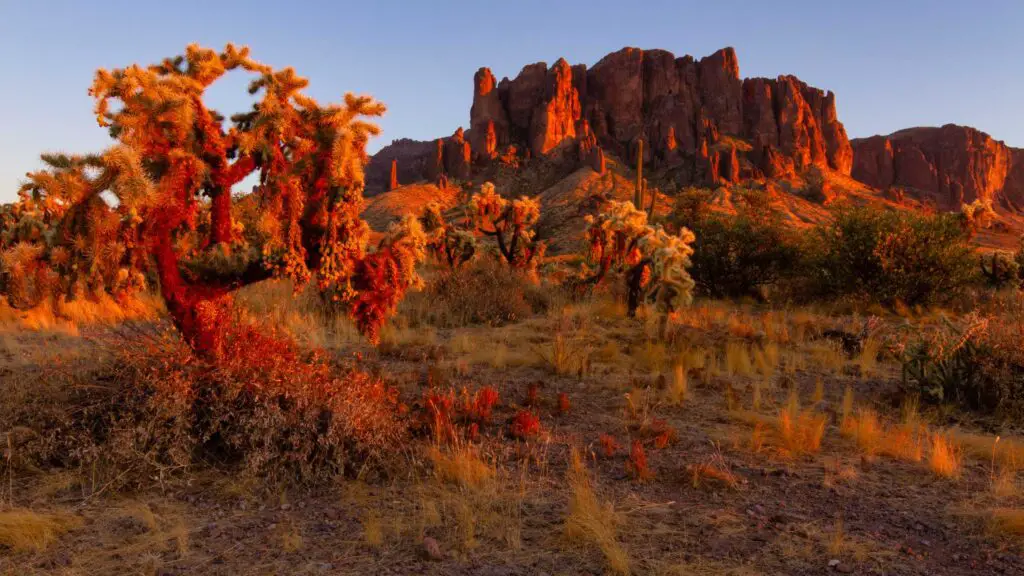 Arizona winter hikes