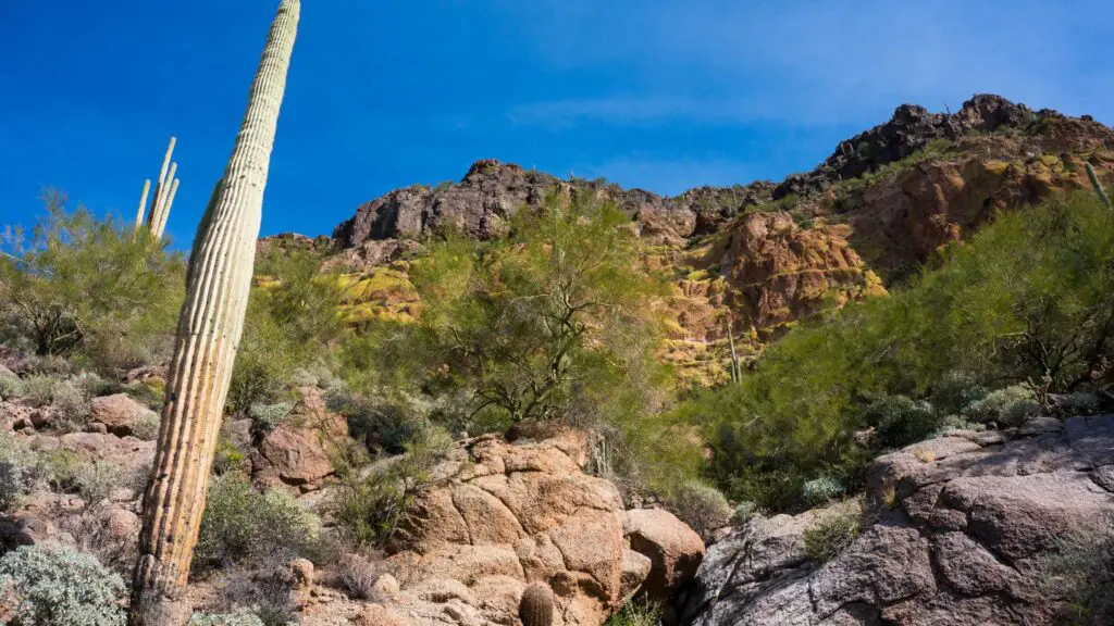 Arizona winter hikes