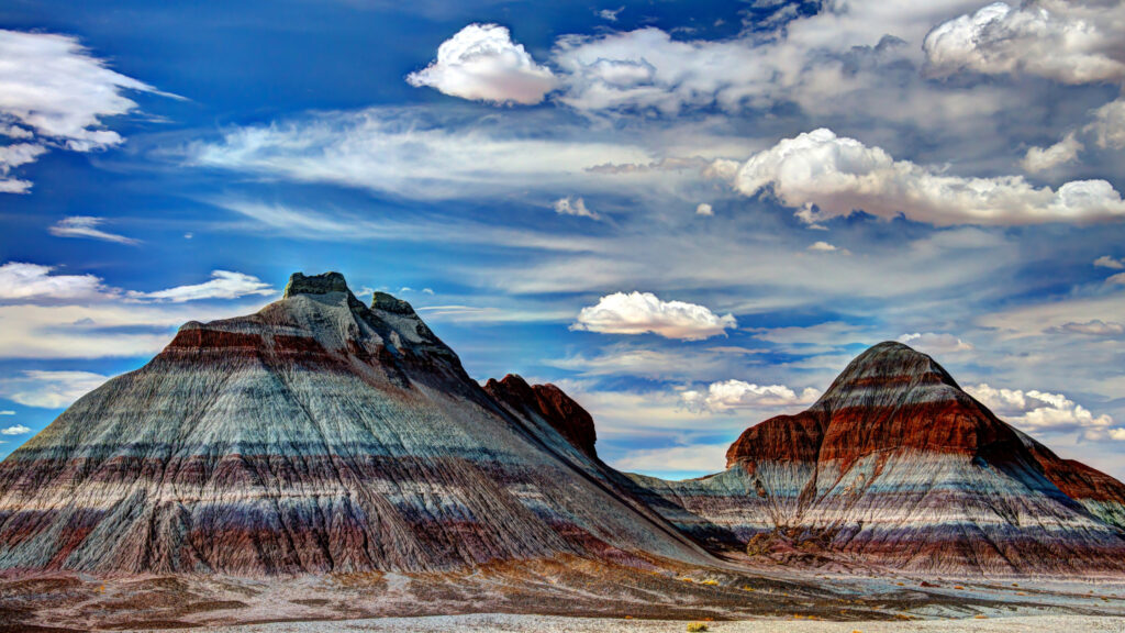 closest airport to Petrified Forest National Park