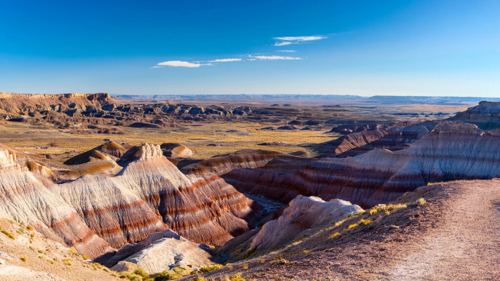 closest airport to Petrified Forest National Park