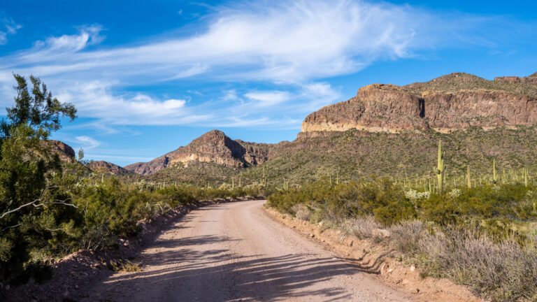 Closest Airport to Saguaro National Park (TUS vs PHX vs AZA)