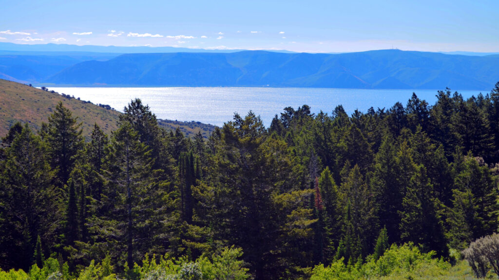 Where to stay in Prescott