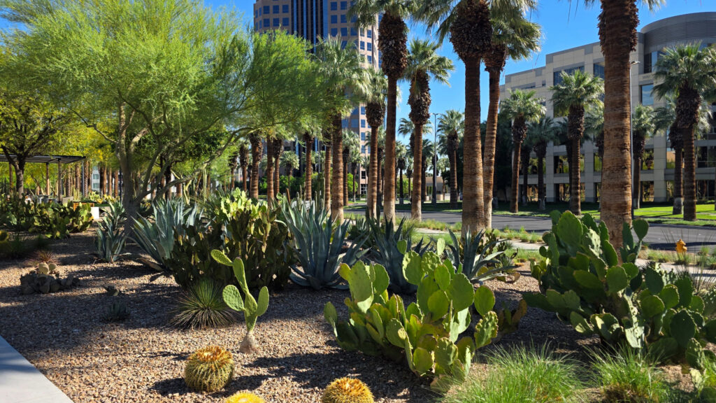 Where to stay in Tucson