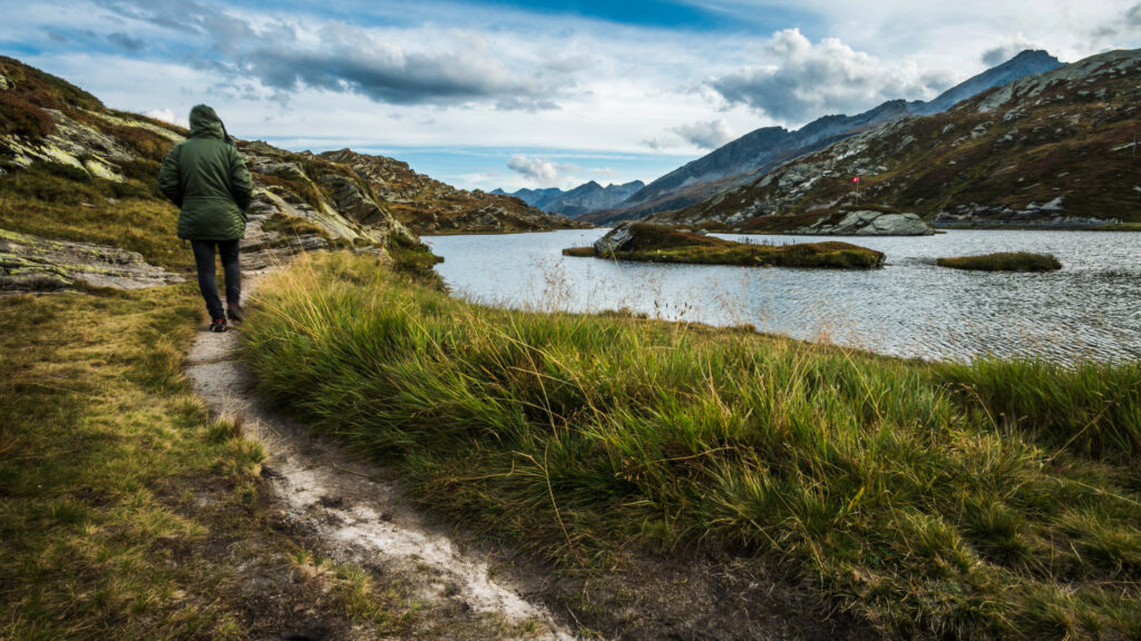Where to stay in Alpine