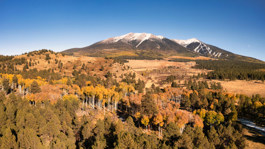 Where to stay in Alpine