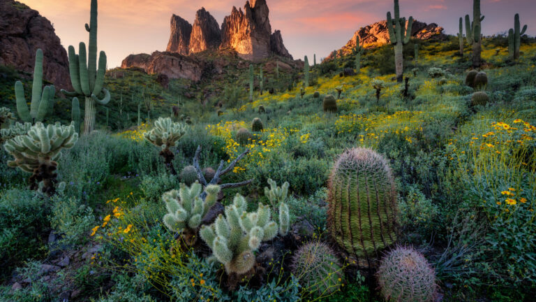 WHERE TO STAY IN APACHE JUNCTION: BEST AREAS + HOTELS BY BUDGET