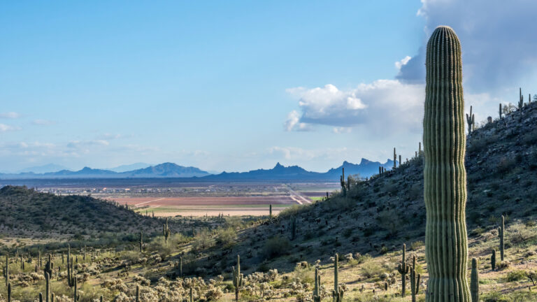 WHERE TO STAY IN CASA GRANDE: BEST AREAS + HOTELS FOR EVERY BUDGET