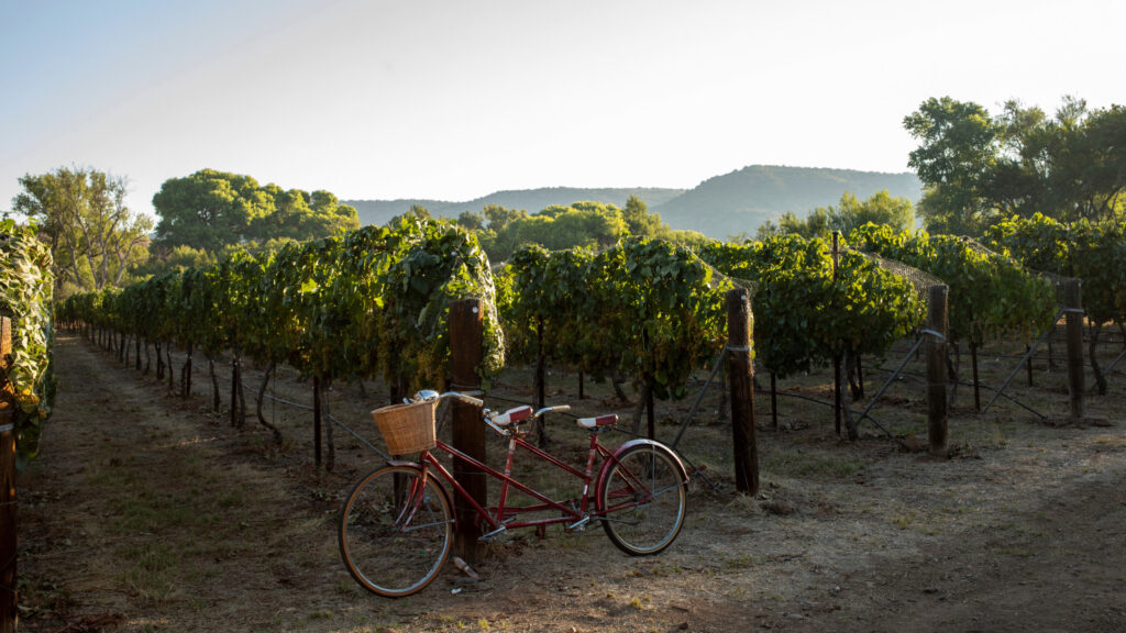 Where to stay in Cornville, Arizona