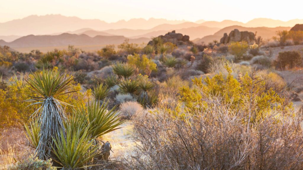 Where to stay in SONOITA ELGIN, AZ