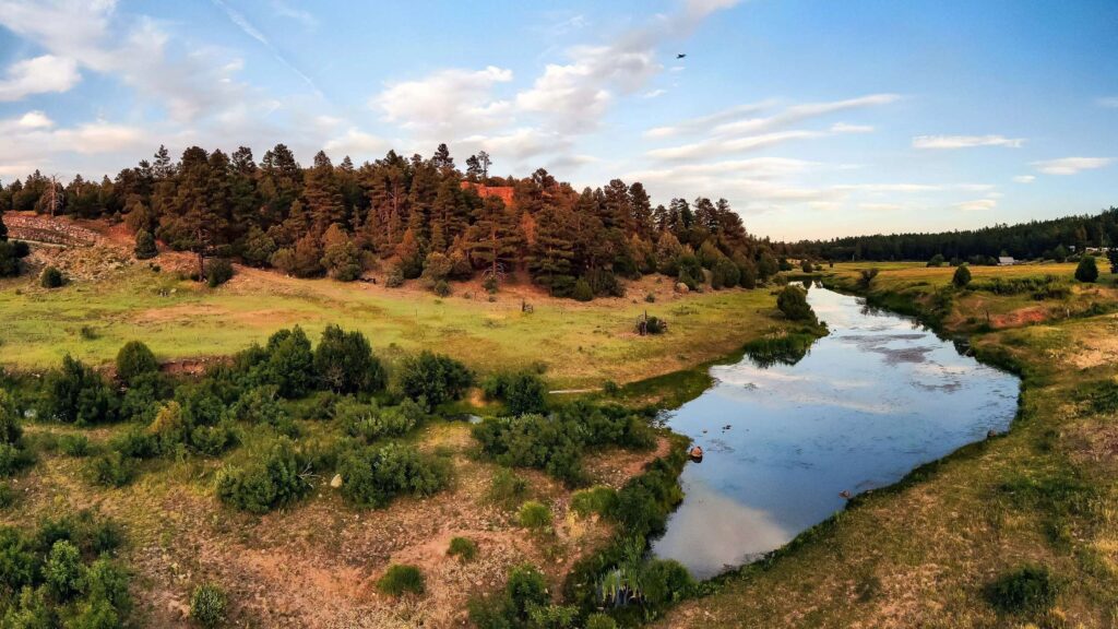 Where to stay in Show Low, AZ