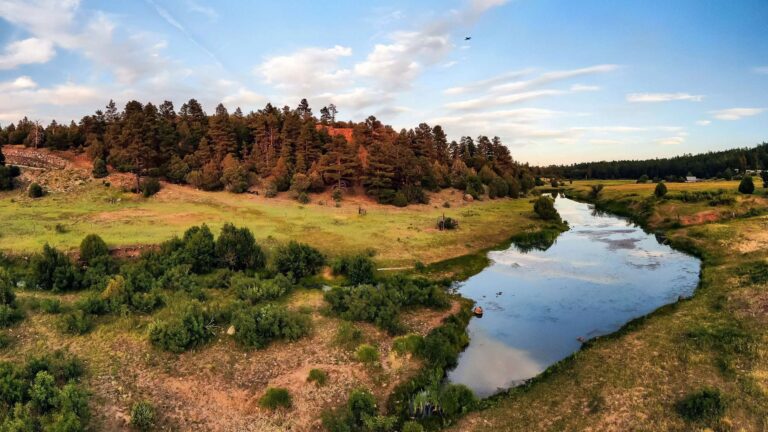 WHERE TO STAY IN SHOW LOW, AZ: BEST AREAS + HOTELS FOR EVERY BUDGET