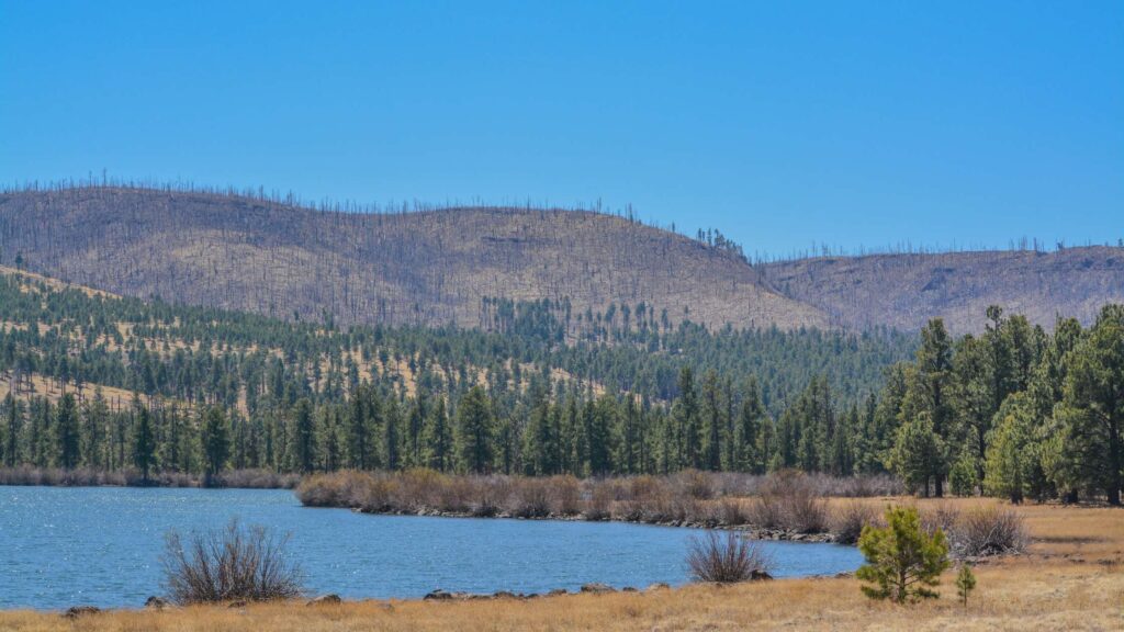 Where to stay in Springerville, AZ
